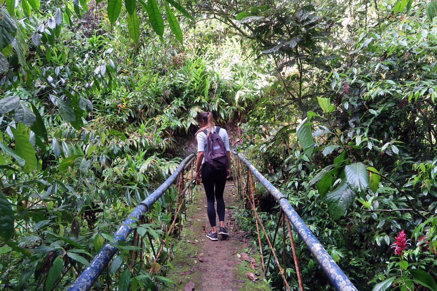 Hiking Jardin Waterfall Antioquia
