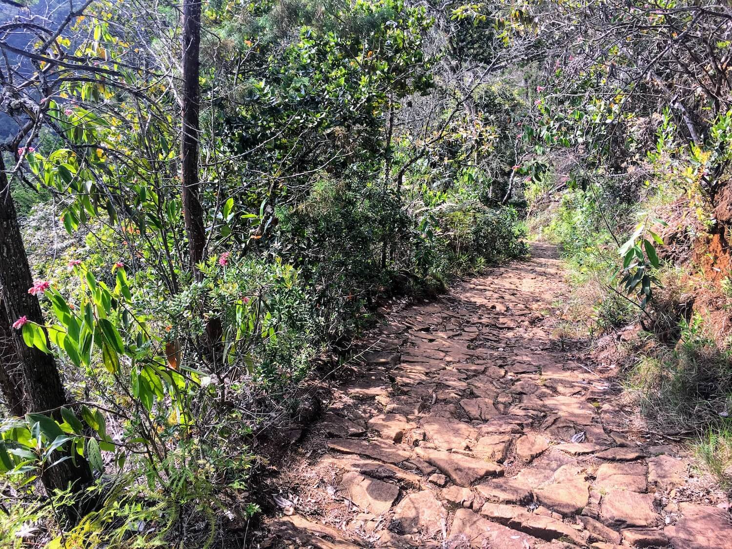 Pre-Hispanic trail on Cerro Quitasol