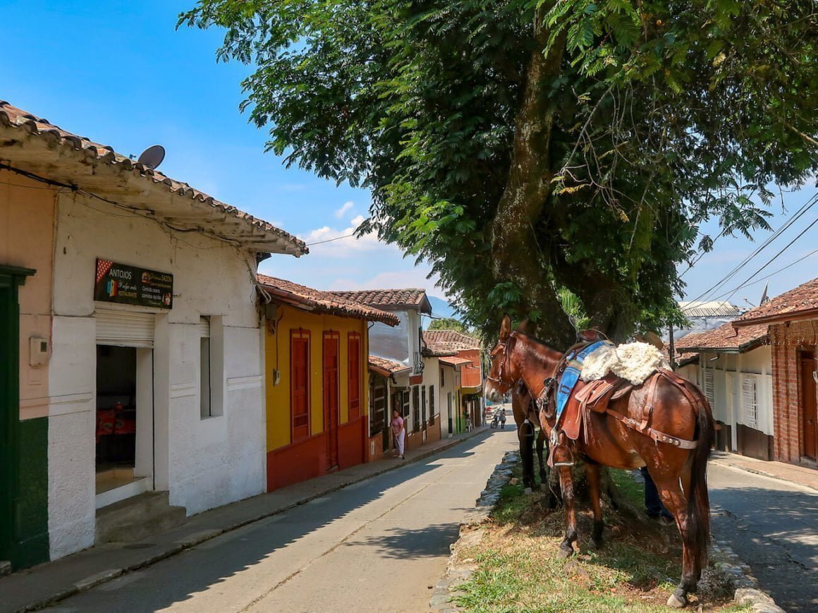 Street in Venecia, Colombia with horse parked out front.