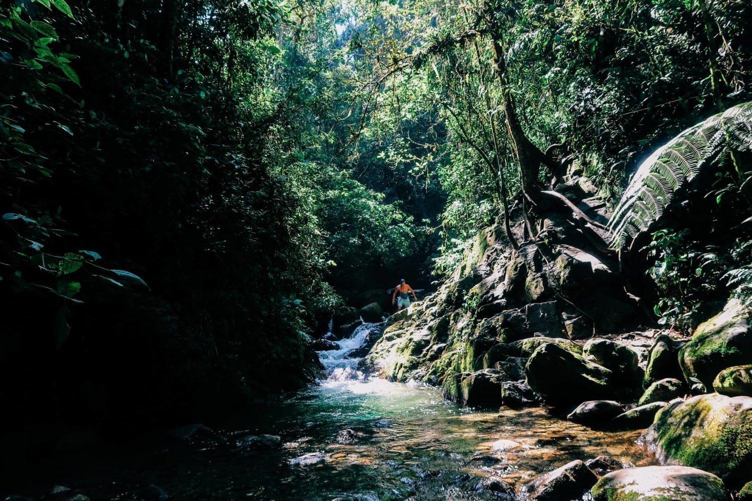 arenales hiking waterfall envigado are just one of the many things to do in envigado