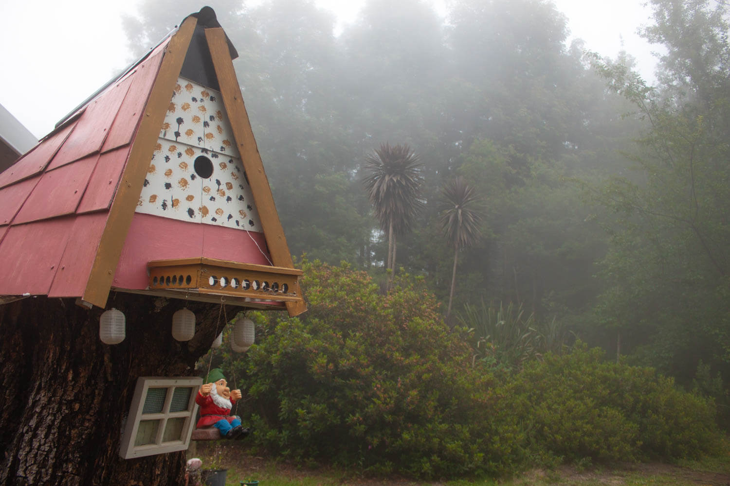 Misty forest and gnome home in Hogsback