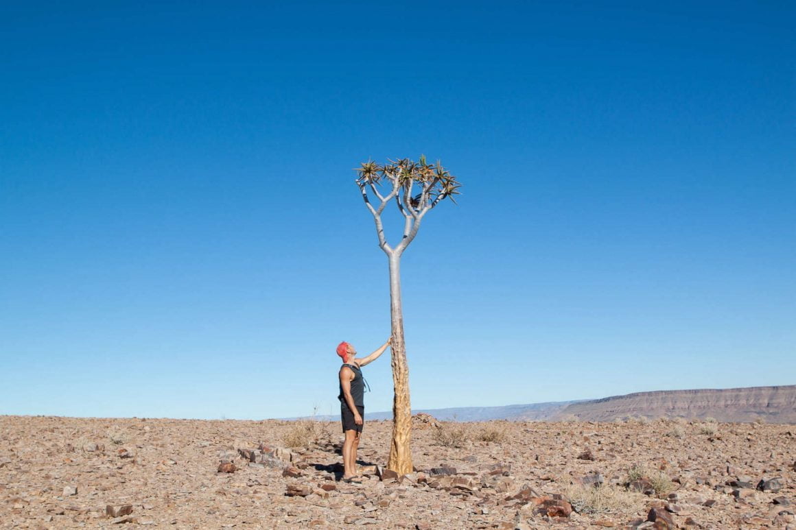 Chris touching a tall quiver tree on our Namibia road trip in Fish River Canyon.