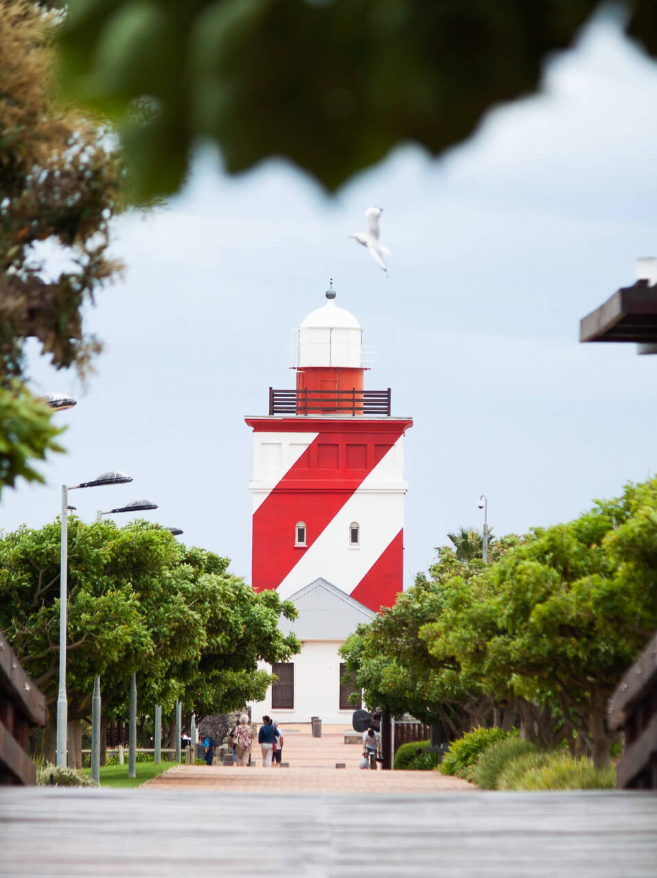 Things to do in Cape Town - go for a run around Green Point Park