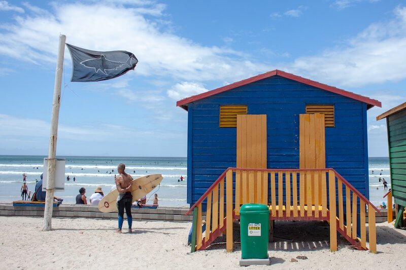 Surfer standing by shark flag at Cape Town's Muizenberg Beach
