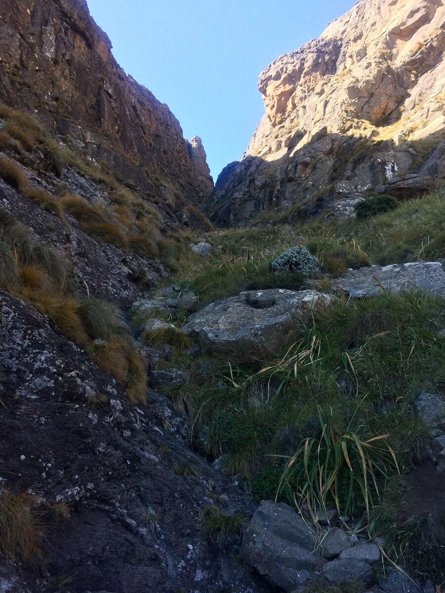Midway up the gorge on the Amphitheatre hike in Drakensberg.