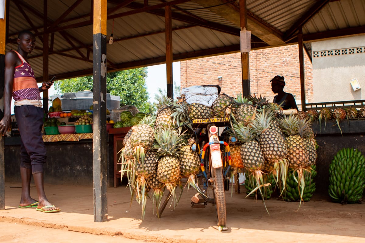 A local Rwandan man drops off his morning shipment of pineapples at a local cooperative produce stand.
