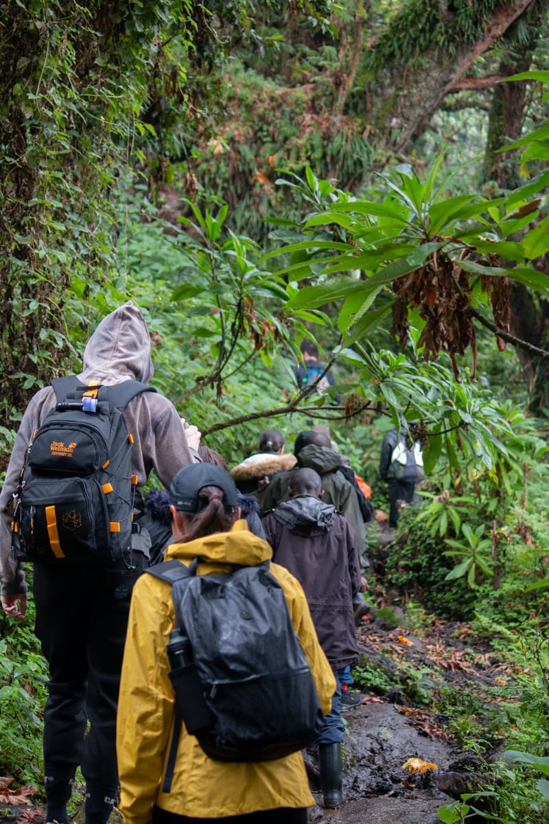 Mount bisoke hiking group at Volcanoes National Park